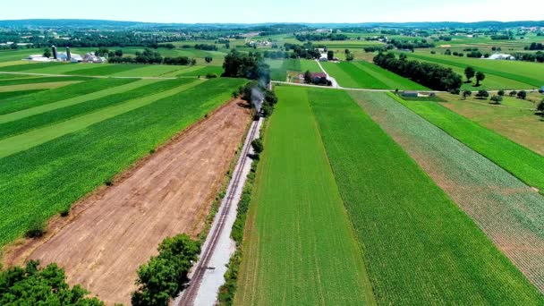 Vapor Trem Passando Por Amish Fazenda Terras Campo Dia Verão — Vídeo de Stock