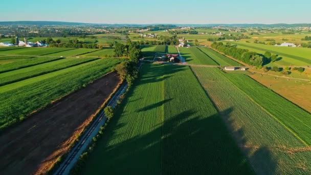 Vapor Trem Passando Por Amish Fazenda Terras Campo Dia Verão — Vídeo de Stock