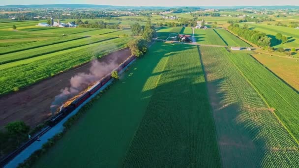 Vapor Trem Passando Por Amish Fazenda Terras Campo Dia Verão — Vídeo de Stock