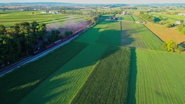 Gőz Vonat Áthalad Amish Mezőgazdasági Földek Vidék Egy Napsütéses Nyári — Stock videók