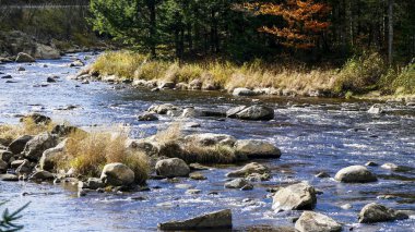 Kayalar ve taşlar beyaz su güneşli bir sonbahar gününde neden aracılığıyla çalışan Creek