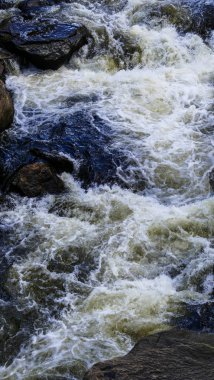 Kayalar ve taşlar beyaz su güneşli bir sonbahar gününde neden aracılığıyla çalışan Creek