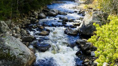 Kayalar ve taşlar beyaz su güneşli bir sonbahar gününde neden aracılığıyla çalışan Creek