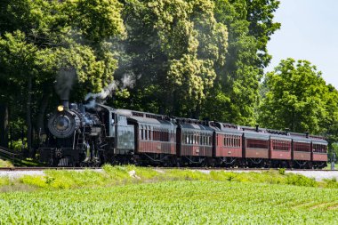 Güneşli bir yaz günü duman üfleme piknik alanı içine çekerek Buhar yolcu treni
