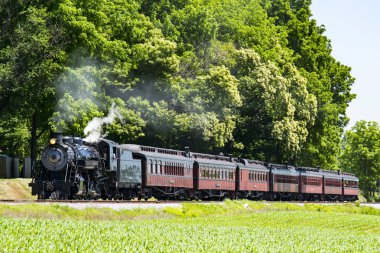 Güneşli bir yaz günü duman üfleme piknik alanı içine çekerek Buhar yolcu treni