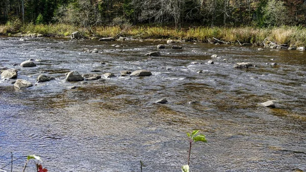 Running Creek Przez Skały Kamienie Powodując Białe Wody Słoneczny Dzień — Zdjęcie stockowe