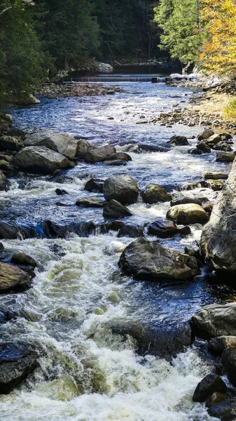 Running Creek Przez Skały Kamienie Powodując Białe Wody Słoneczny Dzień — Zdjęcie stockowe