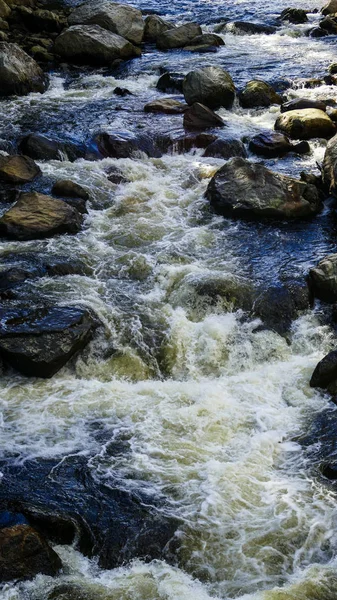 Running Creek Door Rotsen Stenen Veroorzaakt Wildwater Een Zonnige Dag — Stockfoto