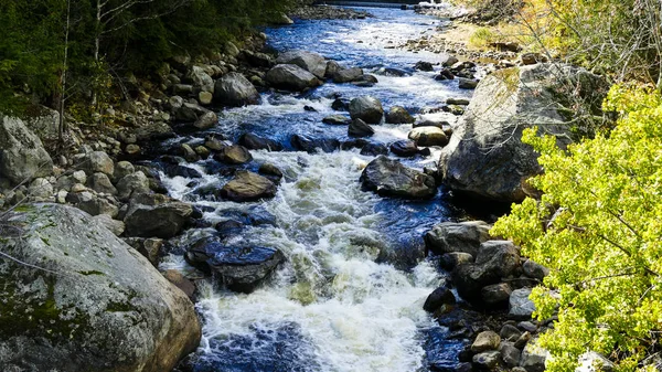 Kayalar ve taşlar beyaz su güneşli bir sonbahar gününde neden aracılığıyla çalışan Creek