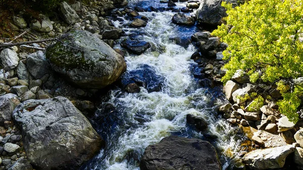 Running Creek Przez Skały Kamienie Powodując Białe Wody Słoneczny Dzień — Zdjęcie stockowe