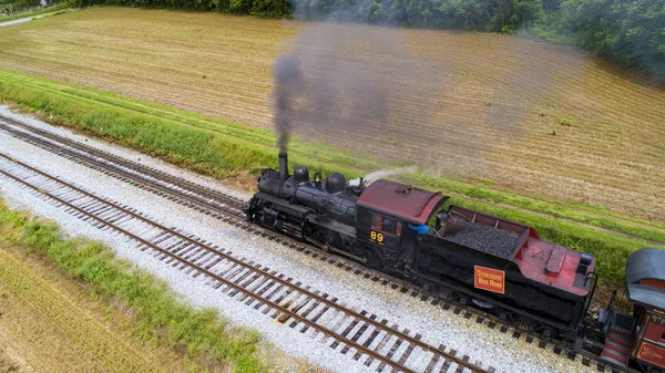 Ariel görünümünü bir Buhar yolcu treni çekerek piknik alanı üfleme duman içine yaz bir dron tarafından görüldüğü gibi güneşli bir