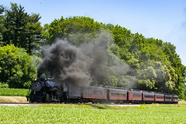 日当たりの良い夏の日に煙を吹いてピクニック エリアに引いて蒸気旅客列車 — ストック写真