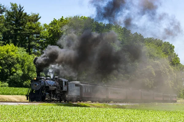 Tren Pasajeros Vapor Que Tira Hacia Zona Picnic Que Sopla —  Fotos de Stock