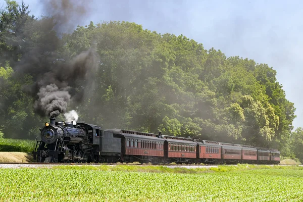 日当たりの良い夏の日に煙を吹いてピクニック エリアに引いて蒸気旅客列車 — ストック写真