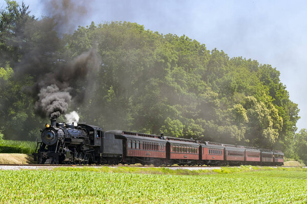 Steam Passenger Train Pulling into Picnic Area Blowing Smoke on a Sunny Summer Day