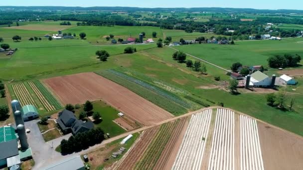 Campagna Dei Amish Terreni Agricoli Come Visto Drone — Video Stock