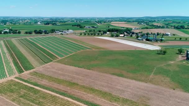 Amish Campo Terras Agrícolas Como Visto Por Drone — Vídeo de Stock