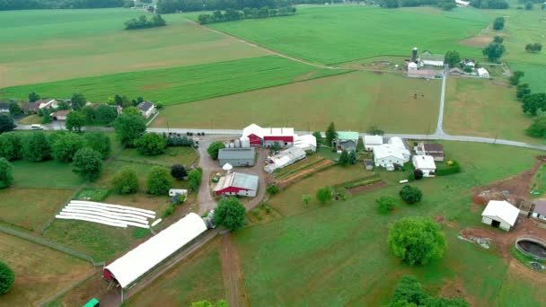 Amish Nedělní Setkání Krajině Poli Viděno Kým Drone — Stock video