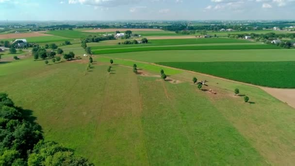 Amish Countryside Las Tierras Cultivo Vistas Por Drone — Vídeo de stock