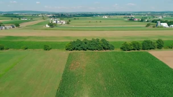 Амішів Села Сільськогосподарські Угіддя Які Бачать Drone — стокове відео