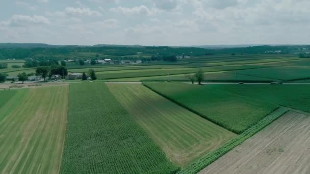 Campagna Dei Amish Terreni Agricoli Come Visto Drone — Video Stock