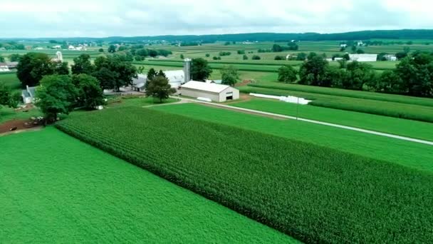 Piste Campagna Dei Amish Terreni Coltivabili Del Treno Come Visto — Video Stock