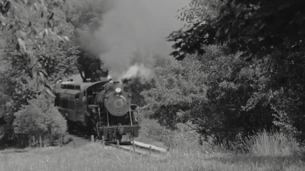 Treno Vapore Puffing Lungo Fattorie Amish Come Visto Drone Bianco — Video Stock