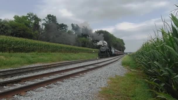 Strasburg Pennsylvania Augusti 2018 Steam Train Dra Picknick Område Längs — Stockvideo