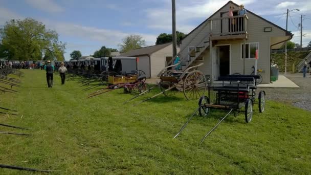 Amish Mud Sale Auction Sunny Autumn Day Pennsylvania — 비디오