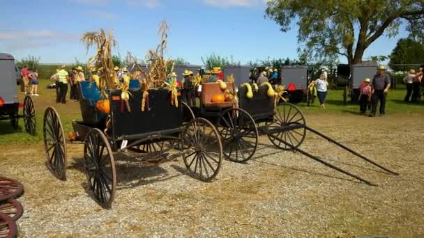 Amish Mud Sale Auction Sunny Autumn Day Pennsylvania — Stock Video