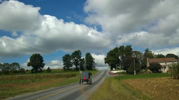 Amish Paard Buggy Naar Beneden Weg Een Zonnige Herfst Dag — Stockvideo