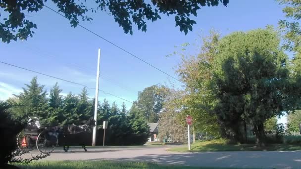 Amish Men Open Buggy Por Camino Soleado Día Otoño — Vídeos de Stock