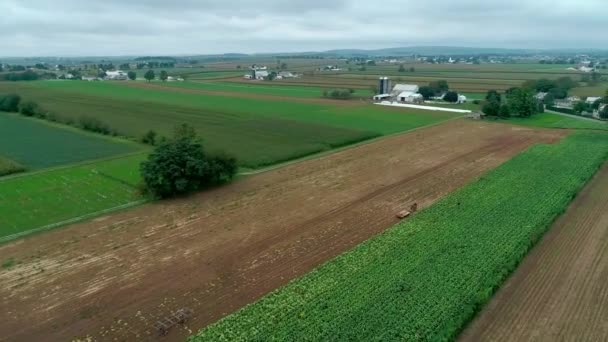 Amish Gazdák Betakarítás Ott Esik Növények Mint Látott Dron — Stock videók