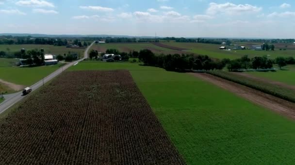 Vista Aérea Los Agricultores Amish Cosechando Allí Cultivos Otoño Día — Vídeo de stock
