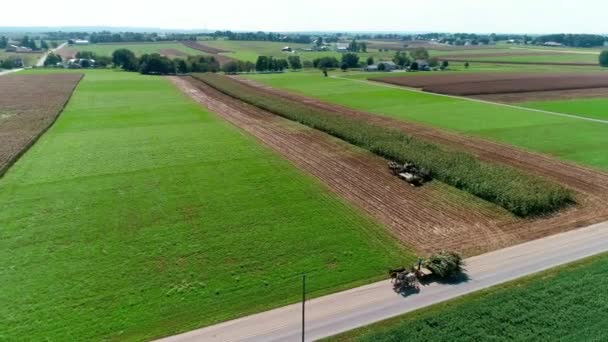 Letecký Pohled Amish Zemědělci Sklizeň Tam Pád Plodiny Slunečný Podzimní — Stock video