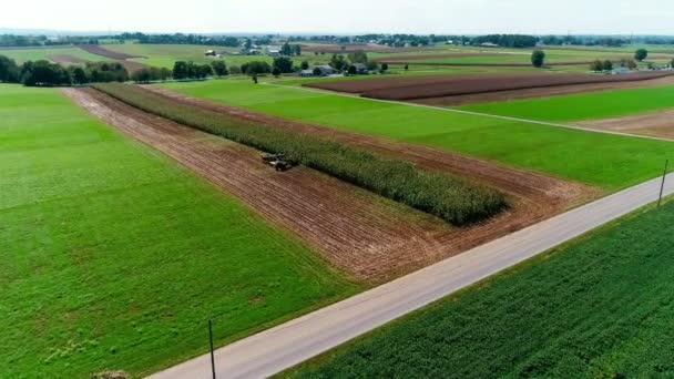 Vista Aérea Dos Agricultores Amish Colheita Queda Cultivos Dia Outono — Vídeo de Stock