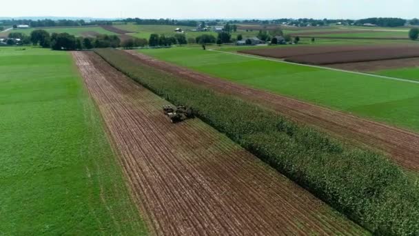 Letecký Pohled Amish Zemědělci Sklizeň Tam Pád Plodiny Slunečný Podzimní — Stock video