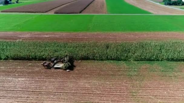 Vista Aérea Dos Agricultores Amish Colheita Queda Cultivos Dia Outono — Vídeo de Stock