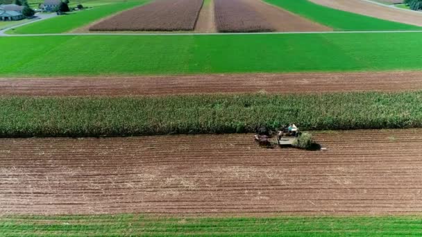 Lotu Ptaka Widok Amish Rolników Zbioru Tam Upadek Upraw Słoneczny — Wideo stockowe
