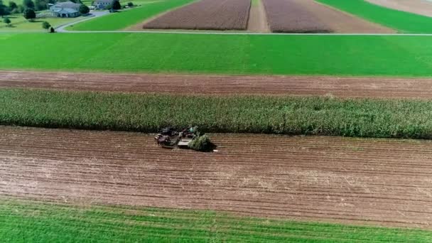 Aerial View Amish Jordbrukare Skörd Det Hösten Grödor Solig Höstdag — Stockvideo