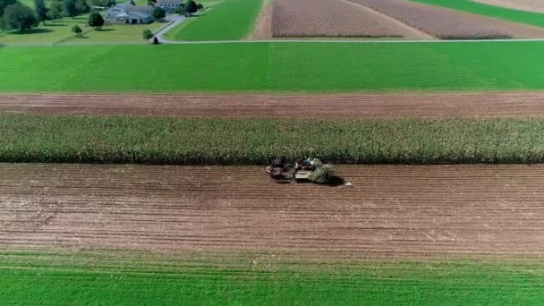无人机看到的阿米什农民在阳光明媚的秋日收获秋季作物的鸟图 — 图库视频影像