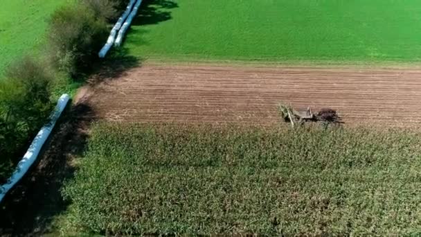 无人机看到的阿米什农民在阳光明媚的秋日收获秋季作物的鸟图 — 图库视频影像