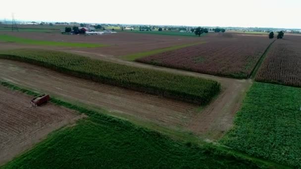 Aerial View Amish Jordbrukare Skörd Det Hösten Grödor Solig Höstdag — Stockvideo