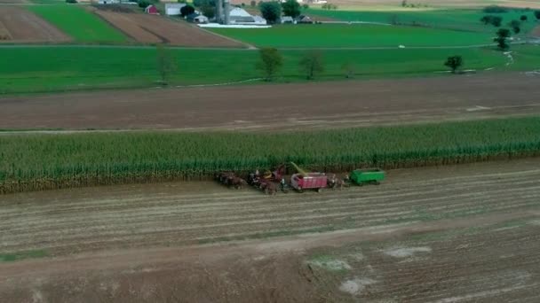 Veduta Aerea Degli Agricoltori Amish Che Raccolgono Raccolti Autunnali Giorno — Video Stock