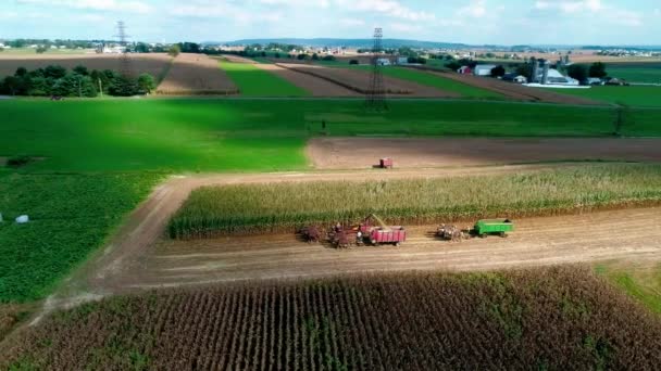 Vista Aérea Dos Agricultores Amish Colheita Queda Cultivos Dia Outono — Vídeo de Stock