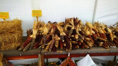 Stand satış Sonbahar bitki ve süslemeleri Amish çiftlik