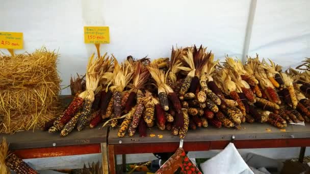 Stand Satış Sonbahar Bitki Süslemeleri Amish Çiftlik — Stok video