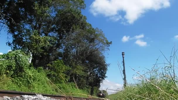 Stragsburg Pensilvânia Setembro 2018 Steam Locomotive Puffing Amish Country Farm — Vídeo de Stock