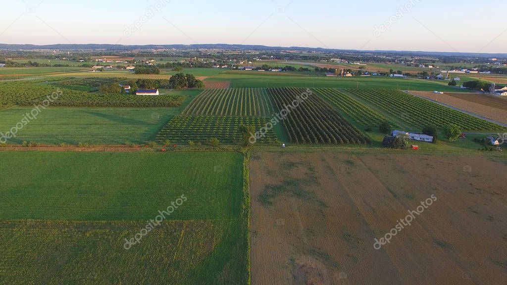 Aerial View of Amish Farm Countryside in Autumn from a Drone