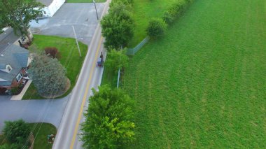 Havadan görünümü kırsal Amish çiftlik at ve adamcağız bir dron aşağıdaki Güz